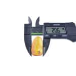 Precise measurement of Baltic amber with inclusions using digital calipers, highlighting natural beauty.