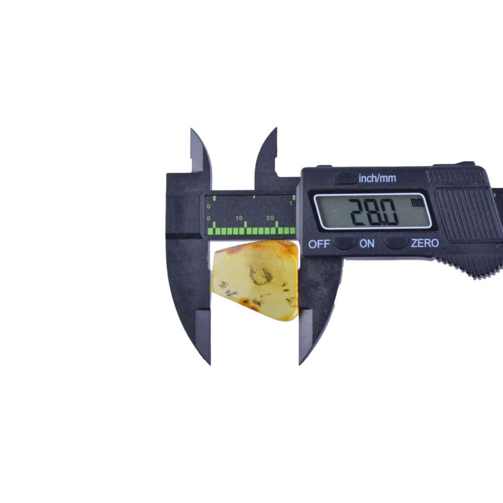 Measuring a Baltic amber piece with natural insect inclusion using digital caliper.