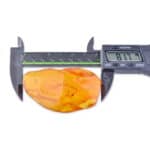Precise measurement of vibrant amber specimen using digital caliper highlighting its rich color and texture.