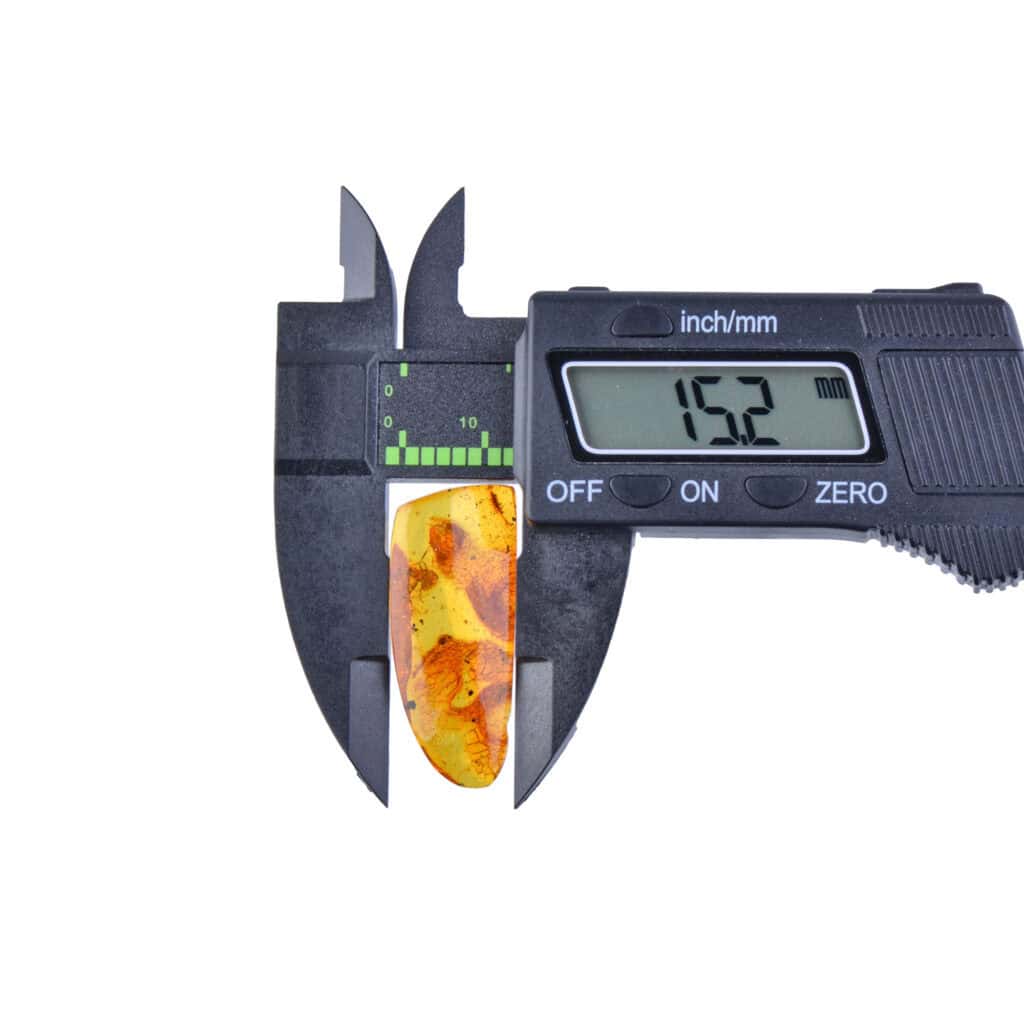 Digital caliper measuring Baltic amber with insect inclusions, reading 15.2 mm for precise evaluation.
