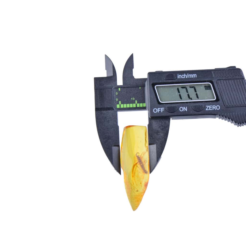 Digital caliper measuring an orange-yellow object resembling a tooth or similar specimen.