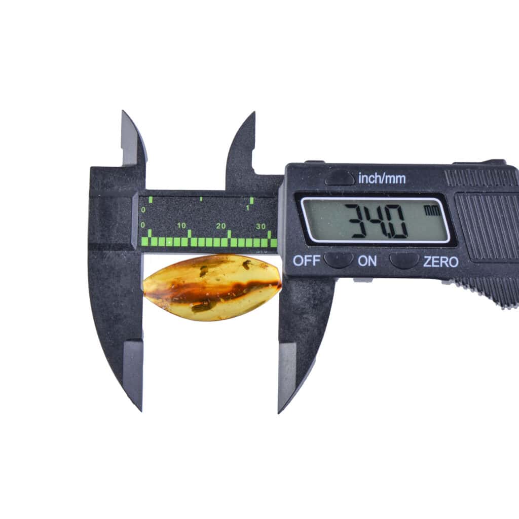 Caliper measuring amber with insect inclusions, displaying 34mm precision.