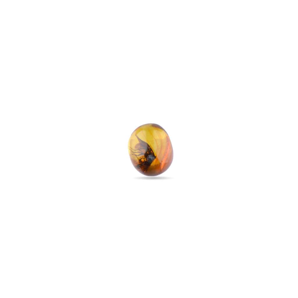 Close-up of polished Baltic amber with dark insect inclusion and warm, glowing tones.