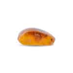 Polished Baltic amber gemstone with warm orange-brown hue, smooth surface, and natural internal inclusions.