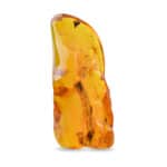 Polished Baltic amber with natural inclusions and warm golden color, perfect for jewelry or collection.