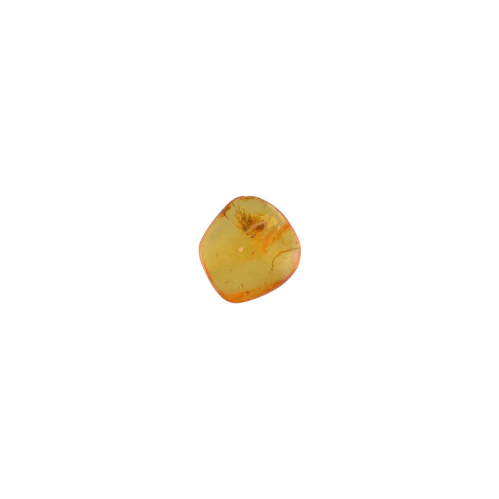 Polished amber pebble with natural inclusions and warm honey tones, perfect for jewelry or collection.