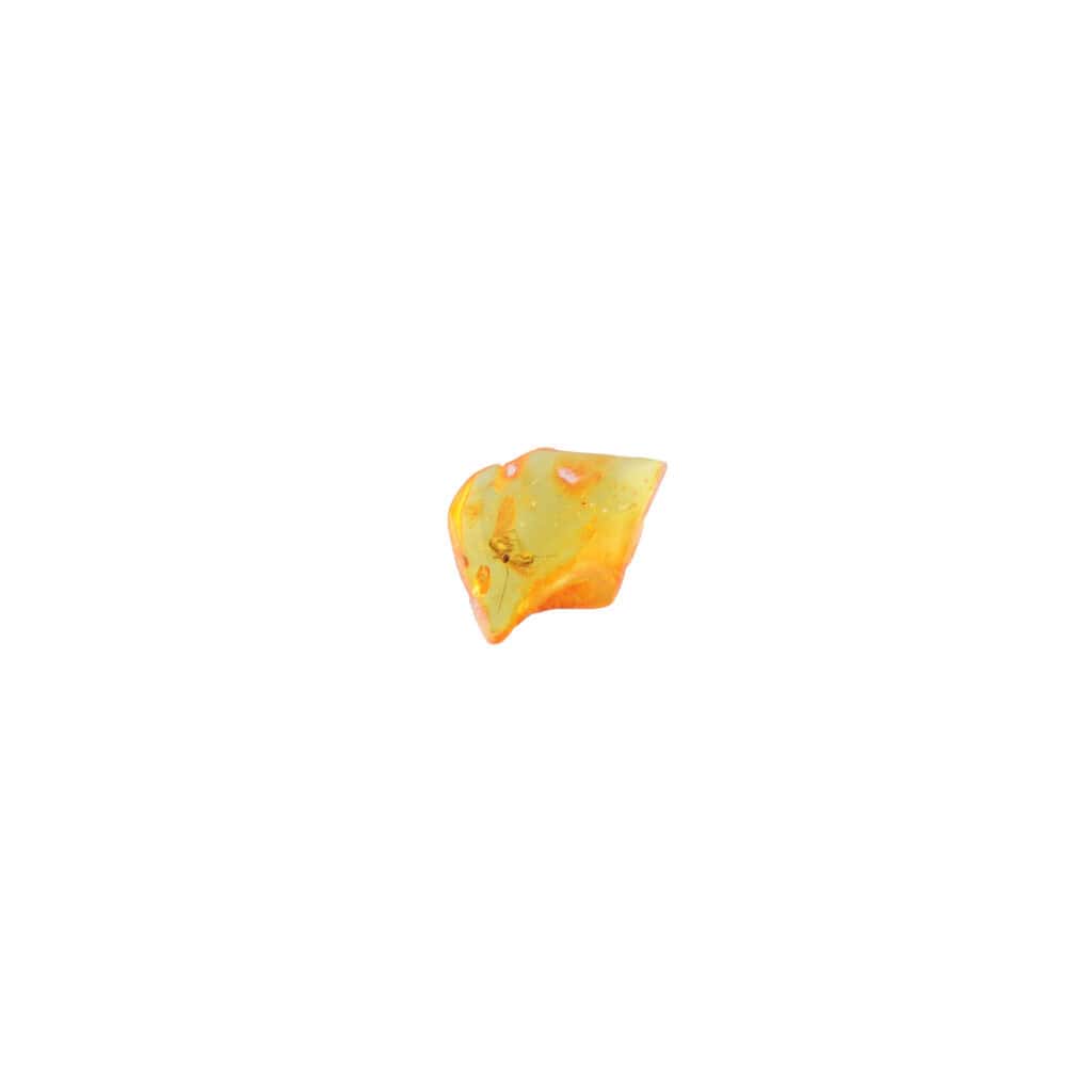 Natural Baltic amber piece with warm hues, subtle inclusions, and organic, polished beauty.