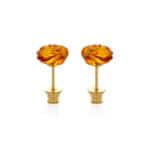 Gold-plated stud earrings with detailed amber rose design, elegant vintage floral jewelry accessory.