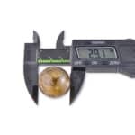 Amber sphere measured at 29.1 mm using digital caliper in a workshop setting.