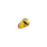 Baltic amber teardrop pendant with insect inclusion, handcrafted, warm gold tone, elegant natural jewelry.