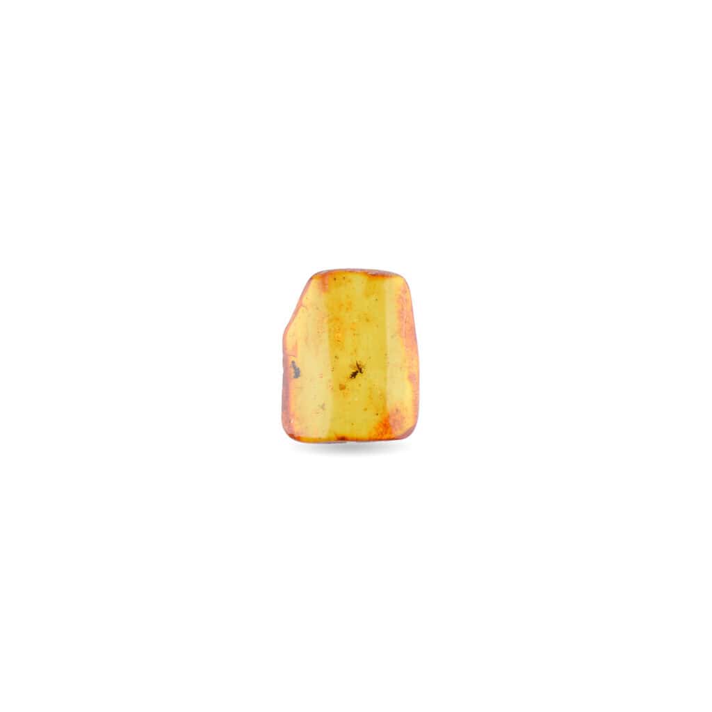 Fresh organic red apple with yellow tones and natural speckles on white background.