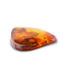 Polished amber gemstone with natural inclusions, warm orange tones, and organic, unique textures.
