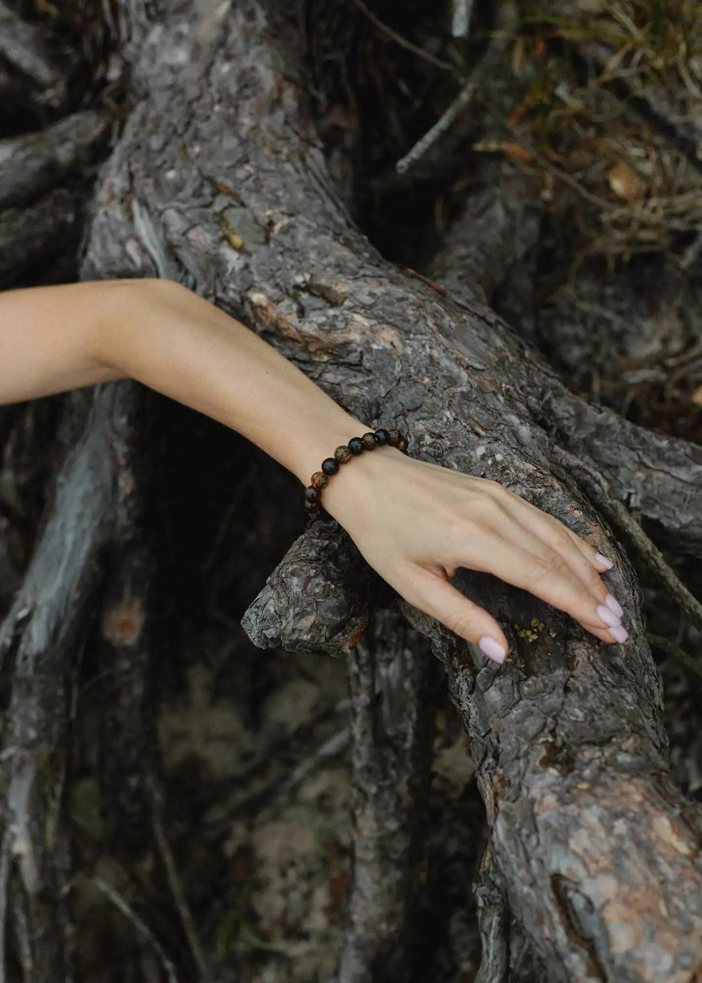 Delicate hand touching rugged tree root, highlighting natural beauty and harmony with the environment.