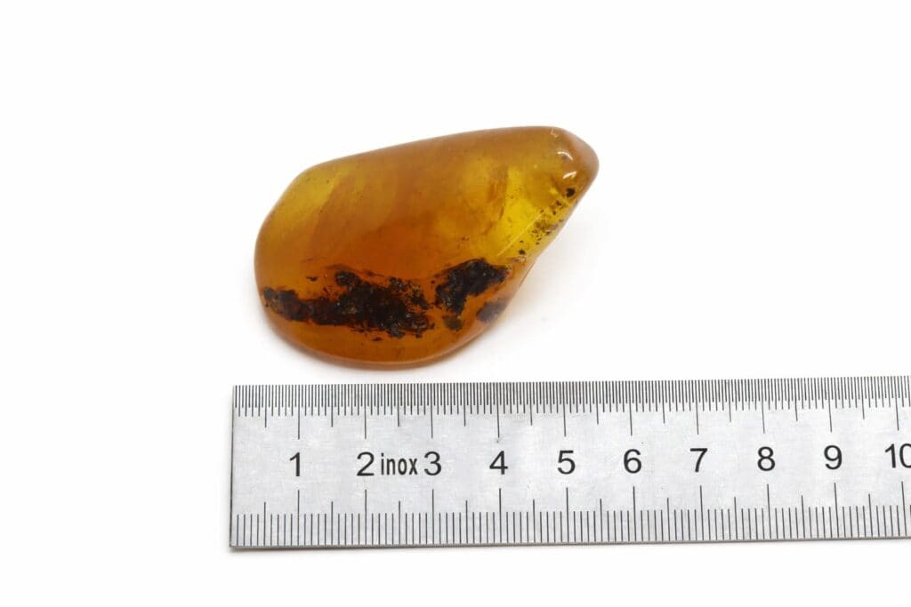 Natural amber