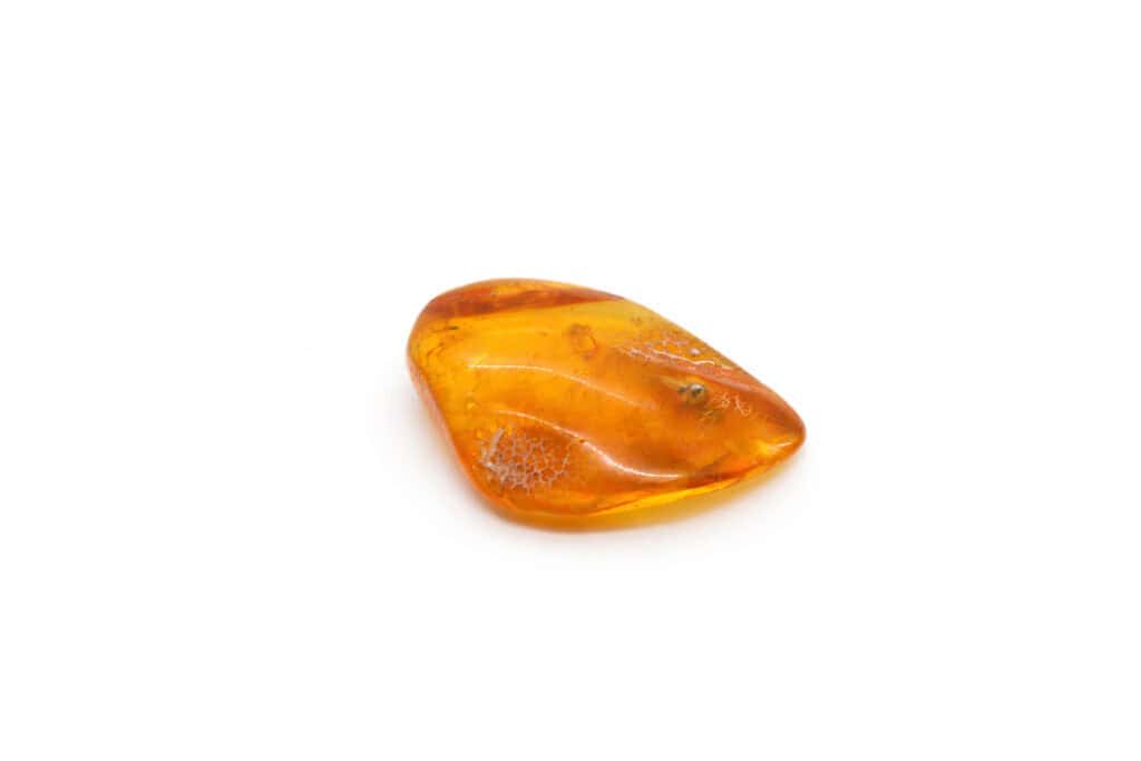 Natural amber with spider