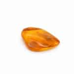 Natural amber with spider