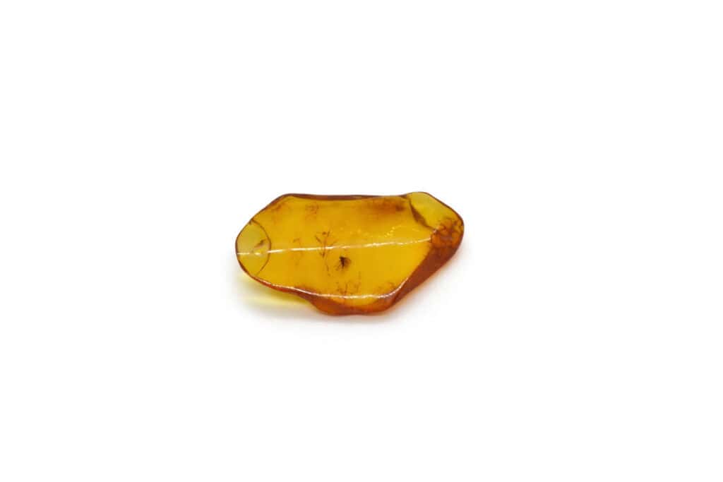 Natural amber with a fly