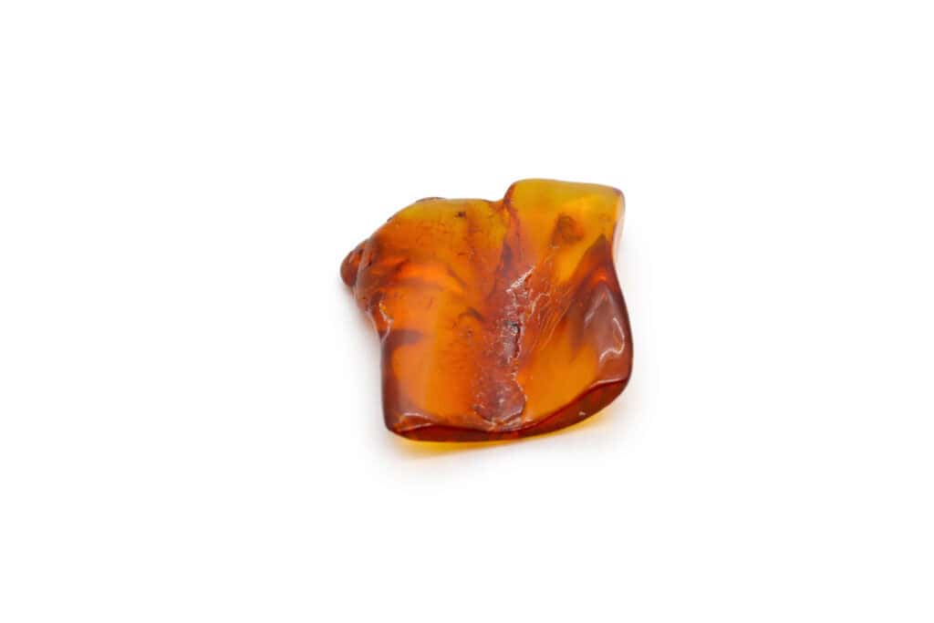 Natural amber fossil with beetle