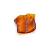 Natural amber fossil with beetle
